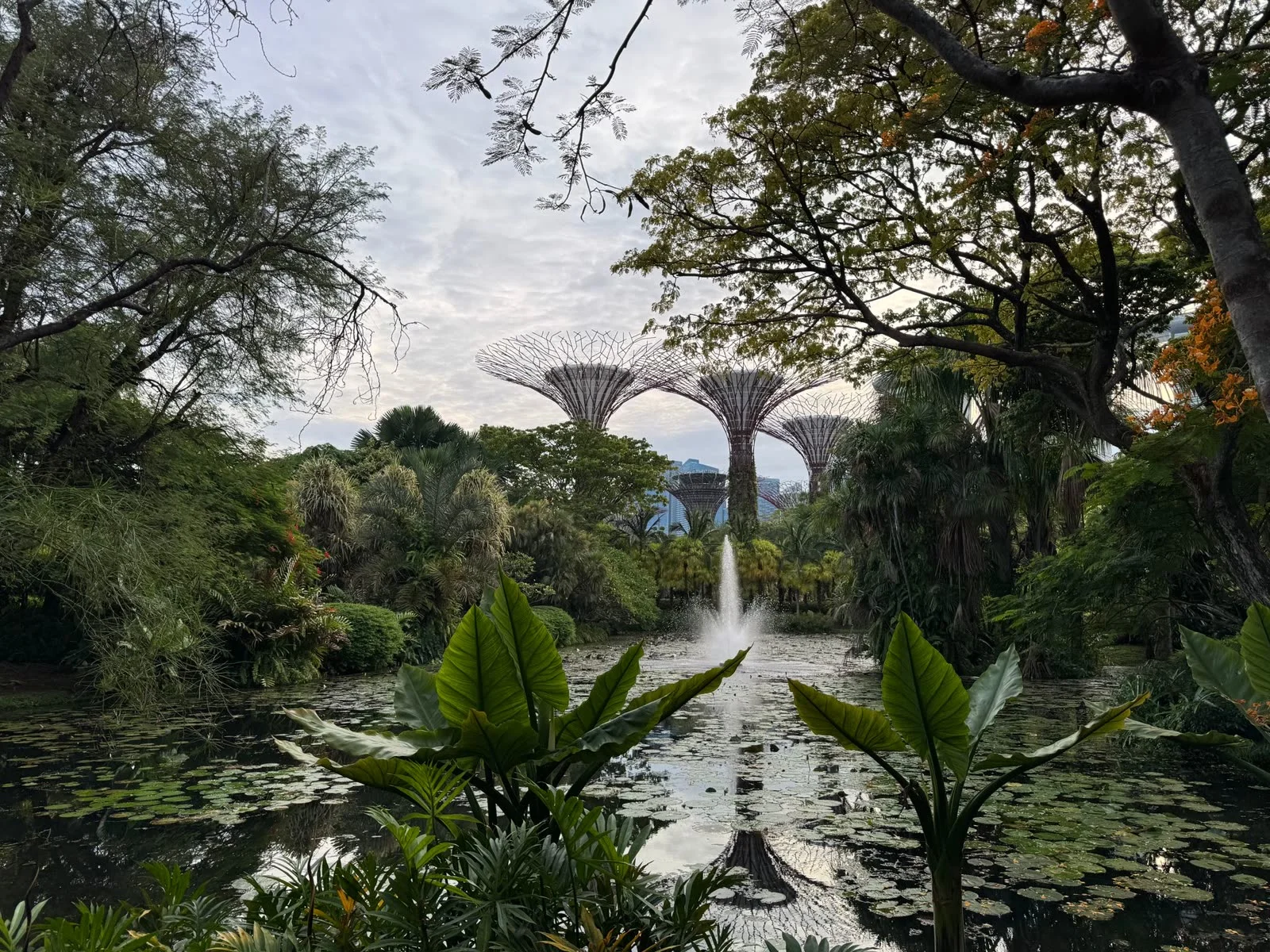 Gardens by the Bay after a long conference week